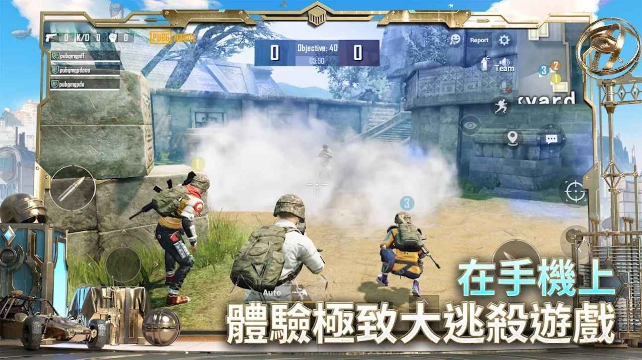 店主往笼子里放5只小猫忙出残影